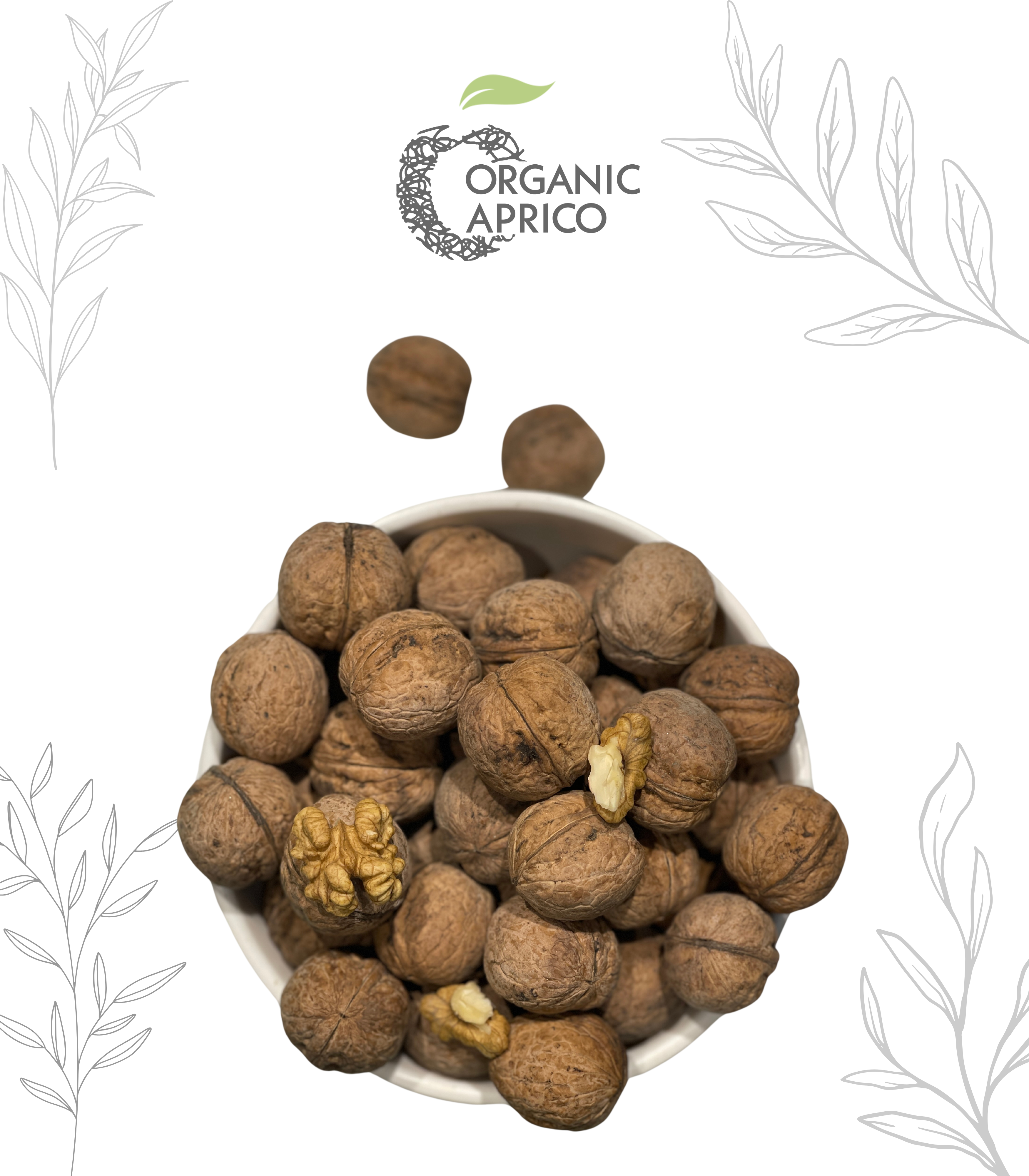 Organic Walnut Kagzi