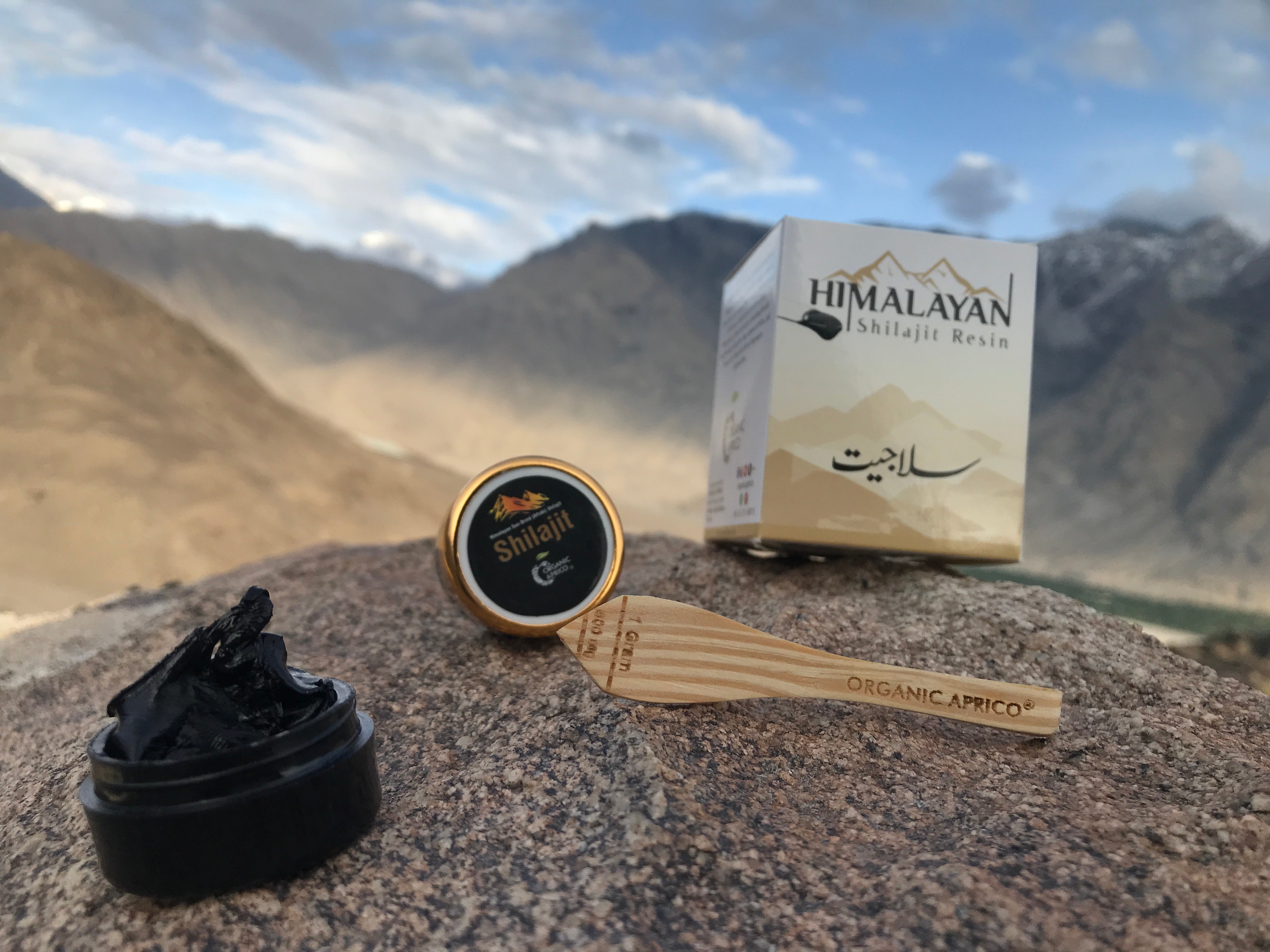 Pure Himalayan Shilajit