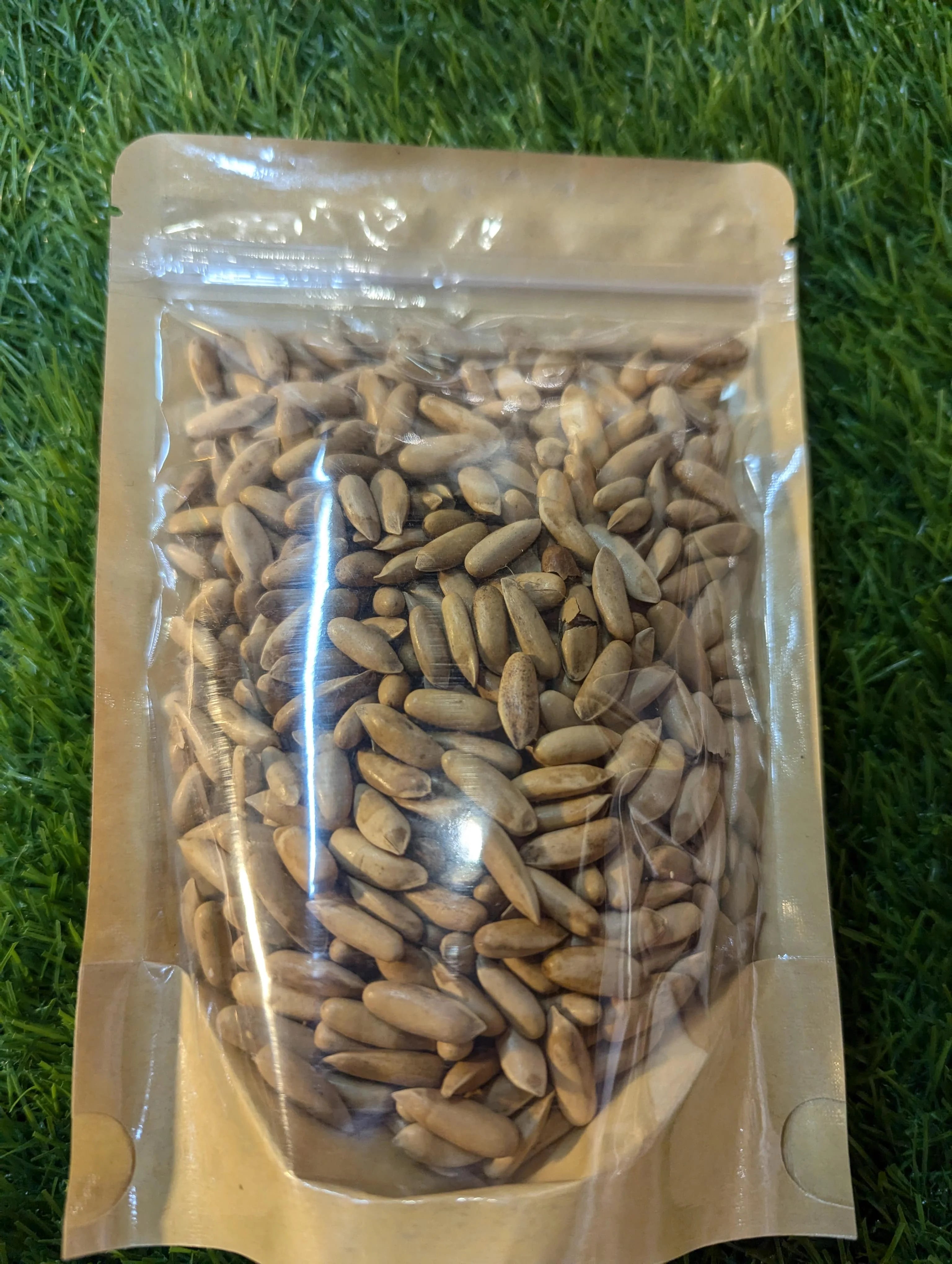 Premium Chilgoza (Pine Nuts)