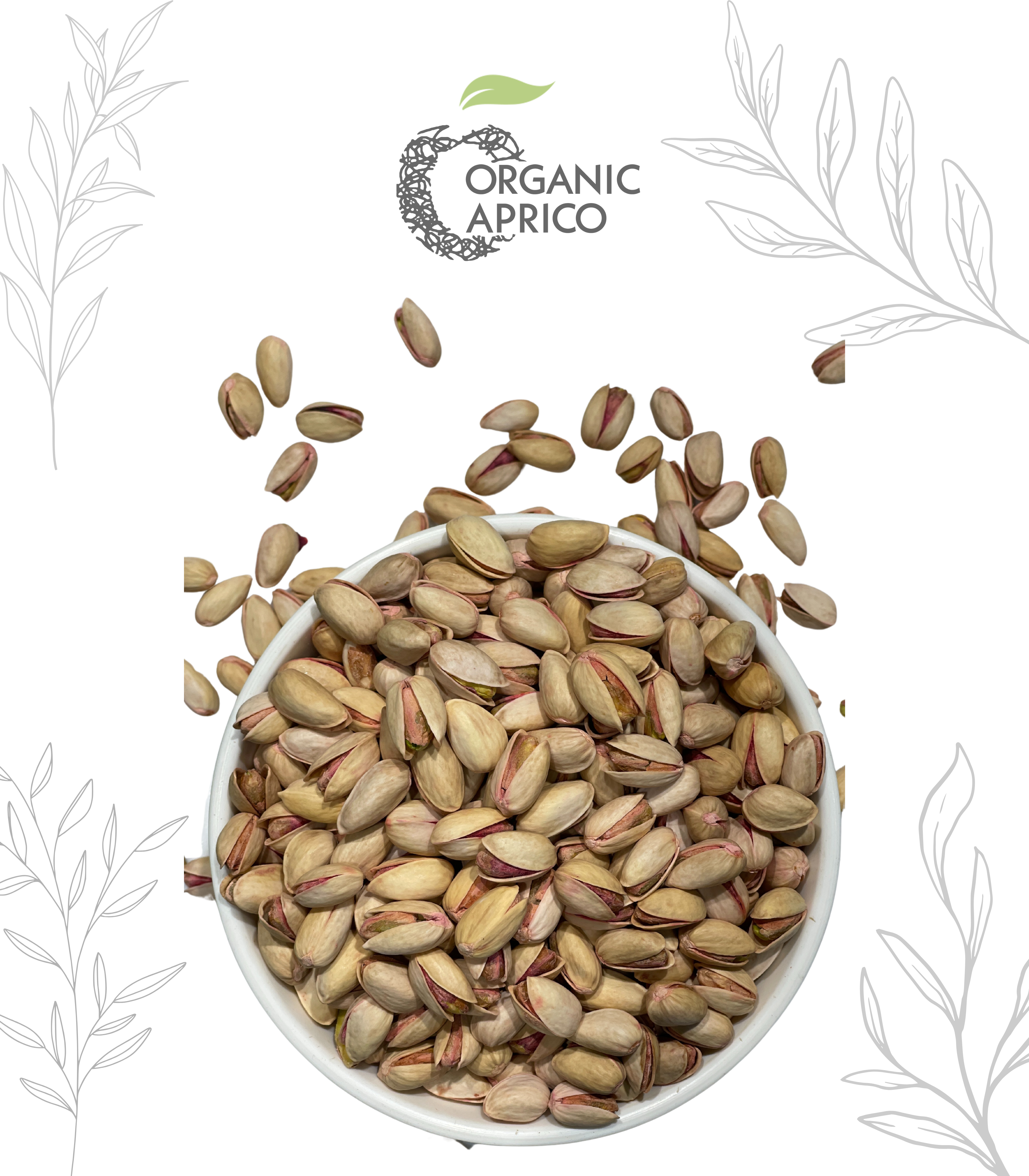 This Picture a Bowl of Pistachios (Pista in Urdu ) with Organic Aprico logo