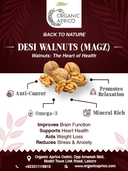 Organic Walnut Kagzi