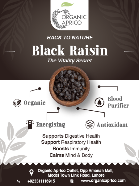 Sun dried black Raisins benefits