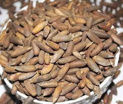 Premium Chilgoza (Pine Nuts) - Organic Aprico