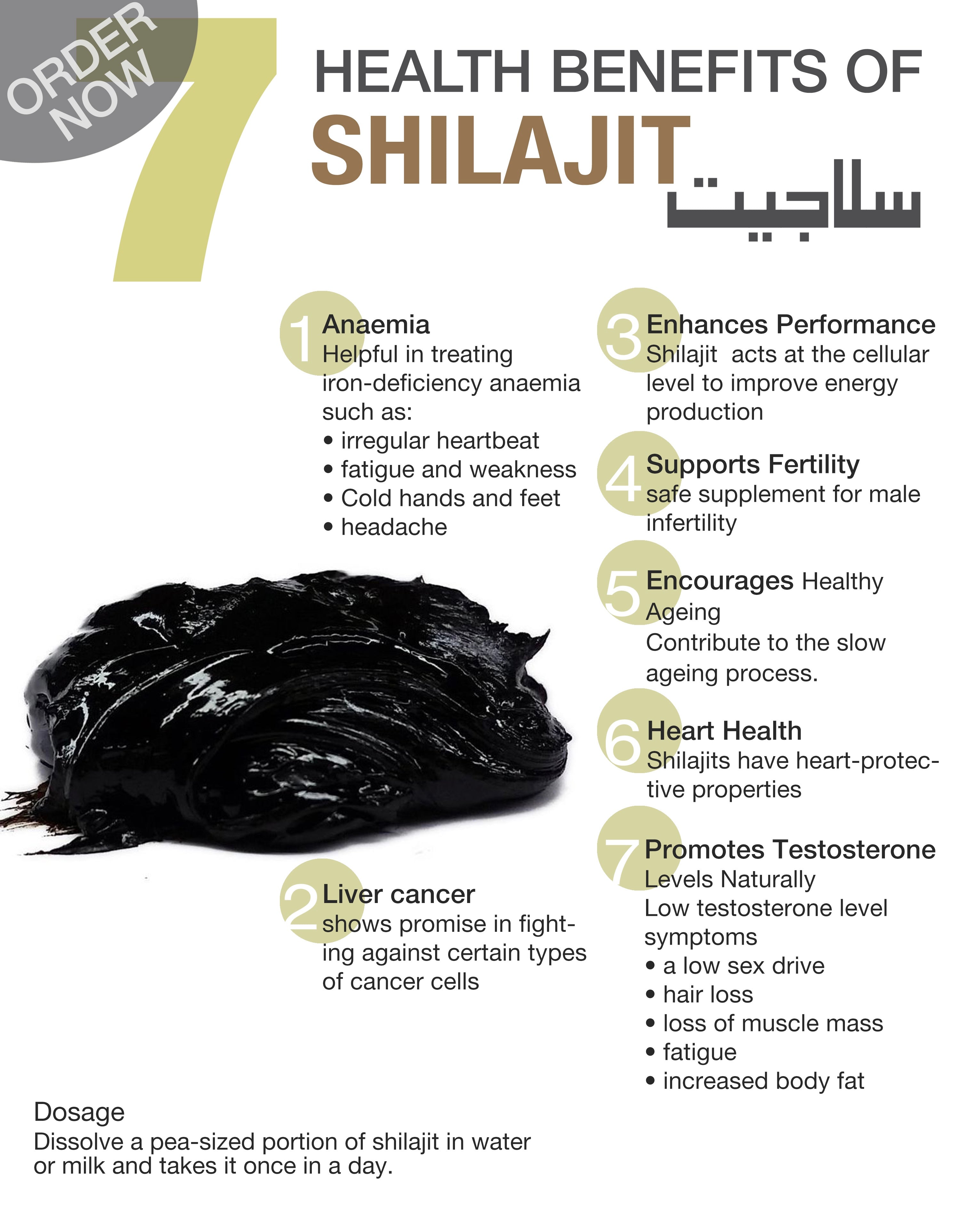 Shilajit Benefits