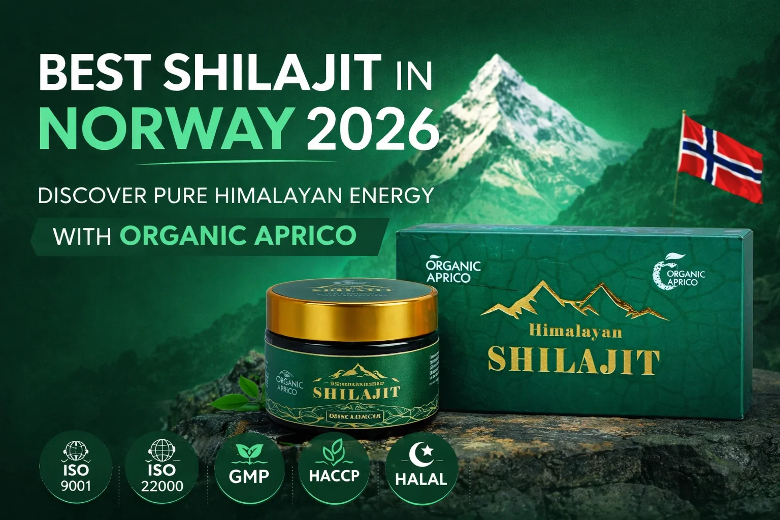 Best Shilajit in Norway