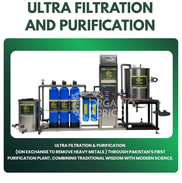 Shilajit Purification Plant by Organic Aprico