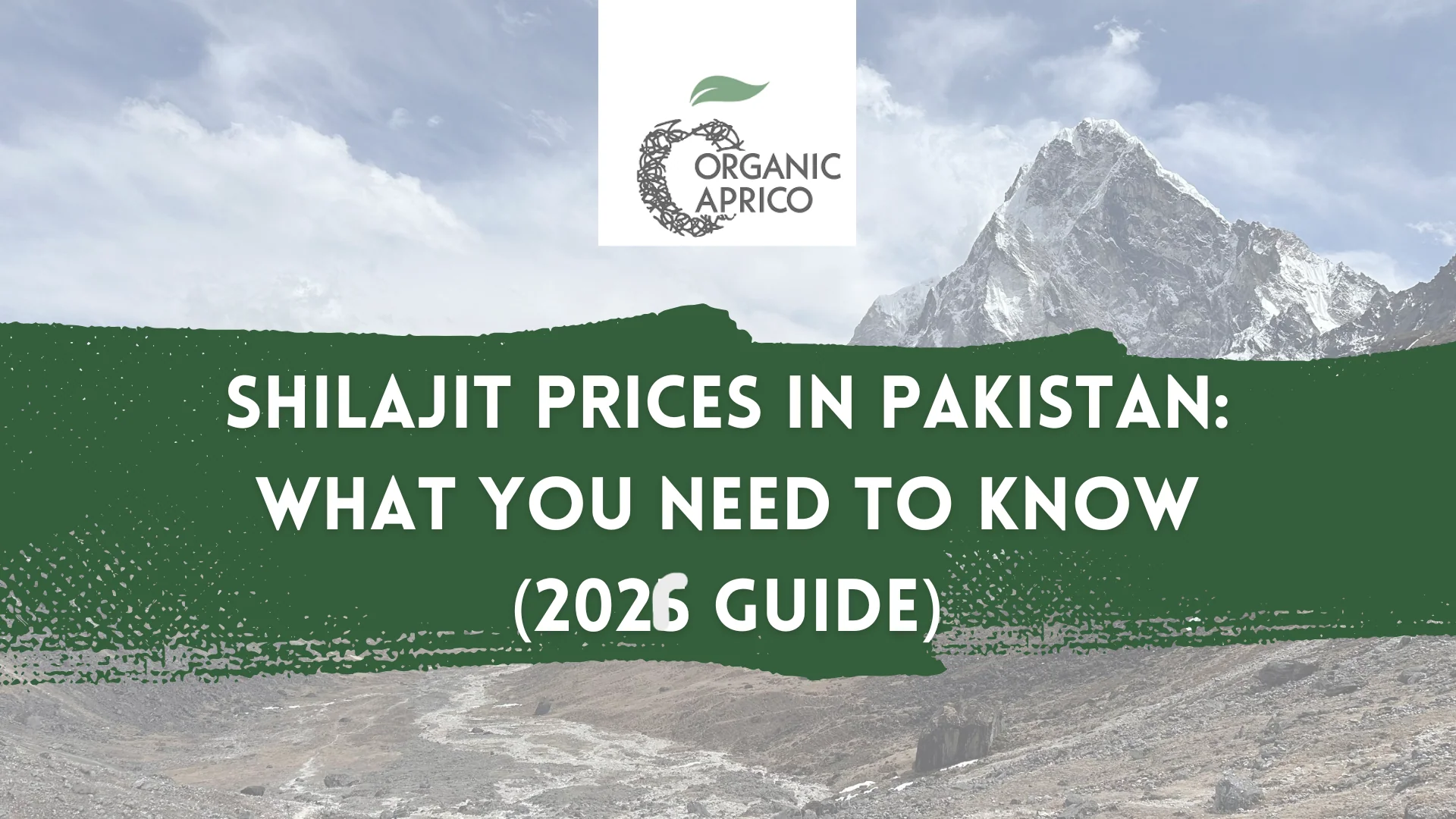 Shilajit Prices in Pakistan