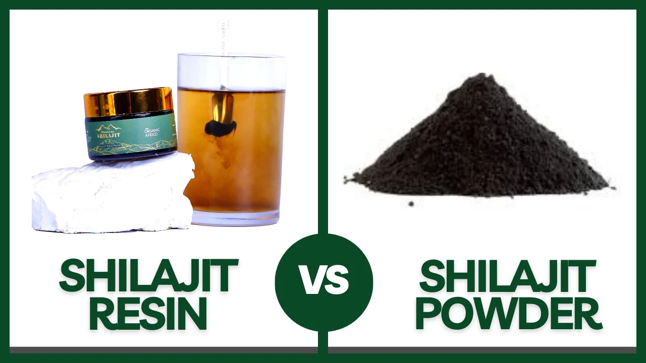 Shilajit Resin vs Powder