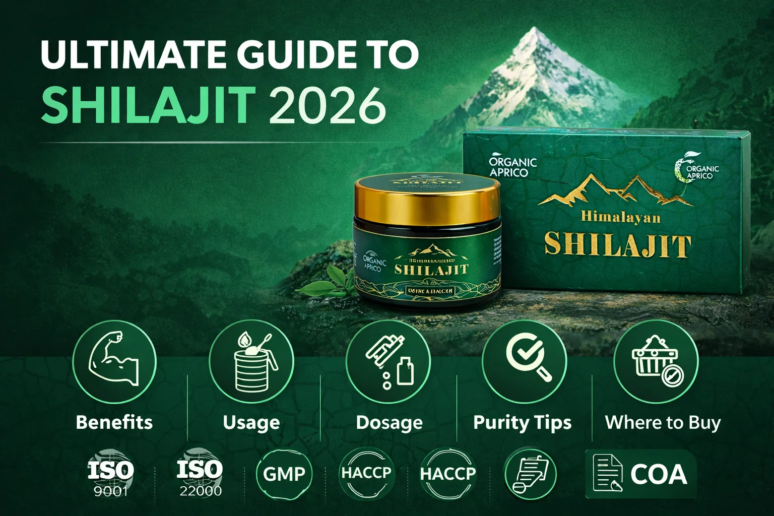 Ultimate Guide to Shilajit