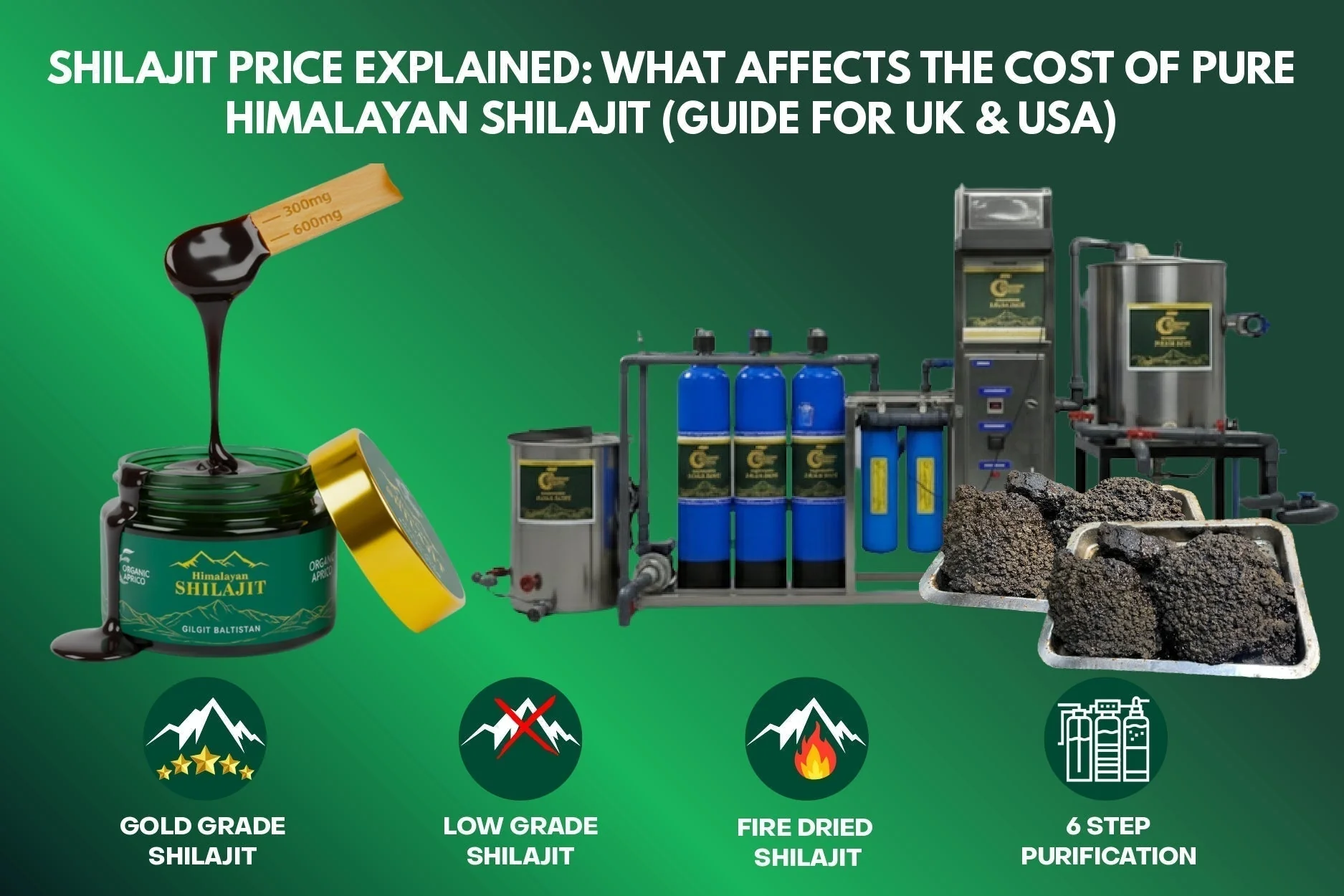 Cost of Pure Himalayan Shilajit