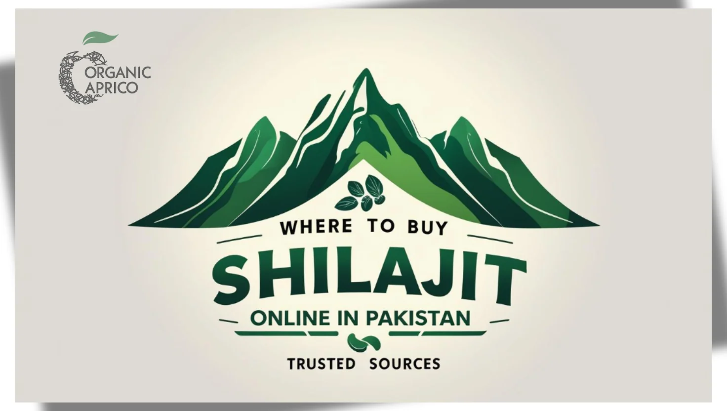 Buy Shilajit Online Pakistan