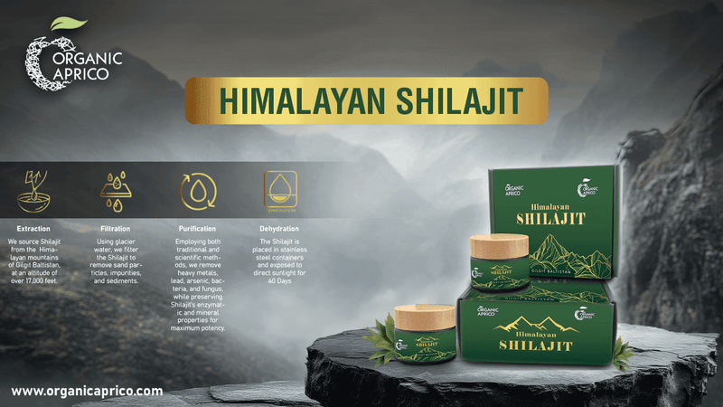Shilajit Resin