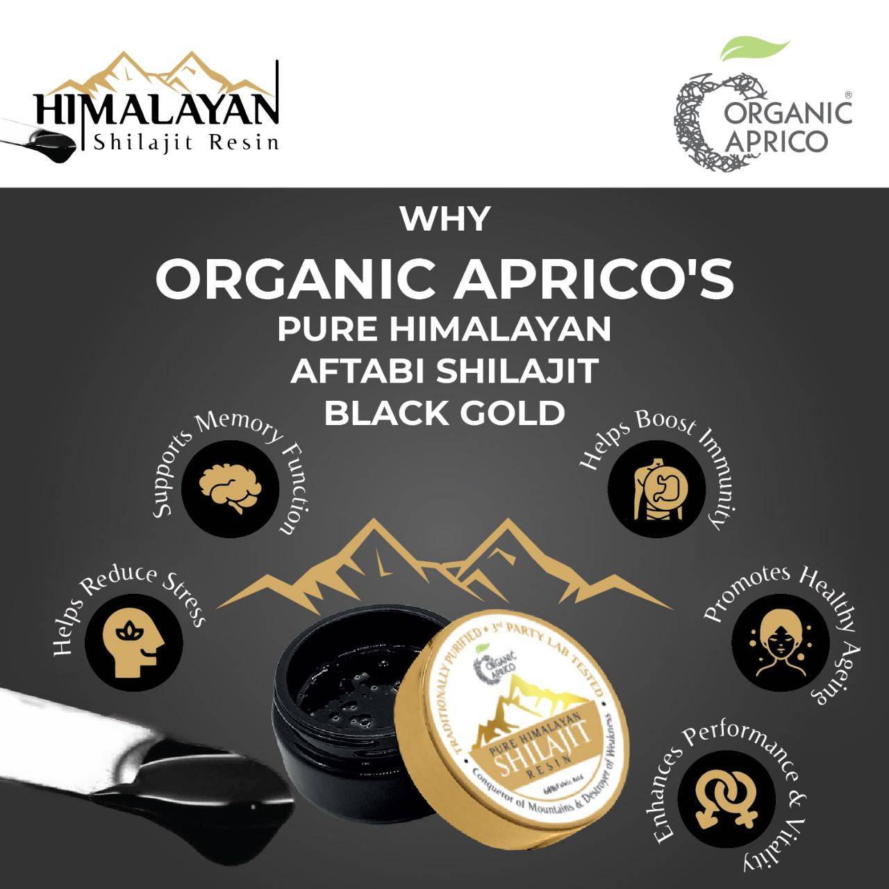 Pure Himalayan Shilajit Resin | Gold-Grade, Lab-Tested view 10