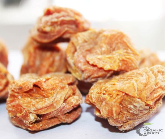 dried apricot (Khubani)