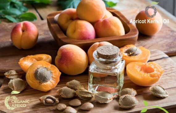Apricot Kernel Oil | Benefits of Apricot kernel Oil | How to Use?