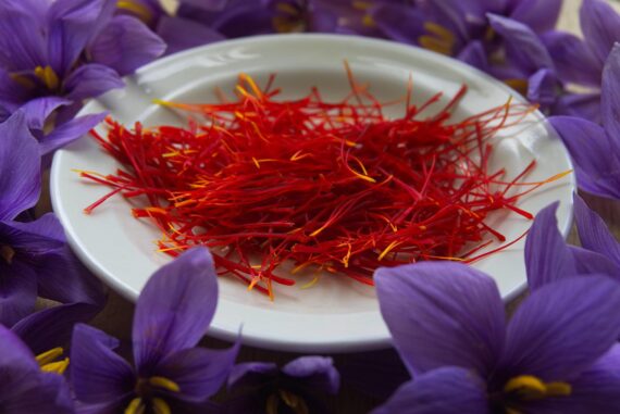 Pure Zafran (Saffron) زعفران