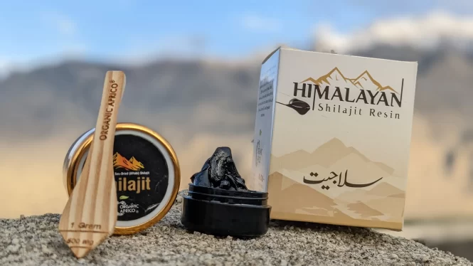 Himalayan Shilajit