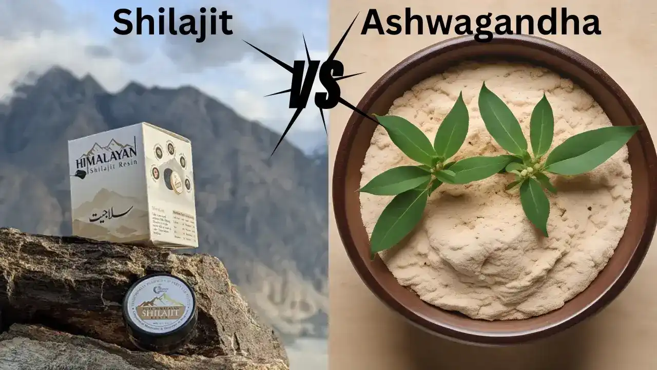 Shilajit vs ashwagandha